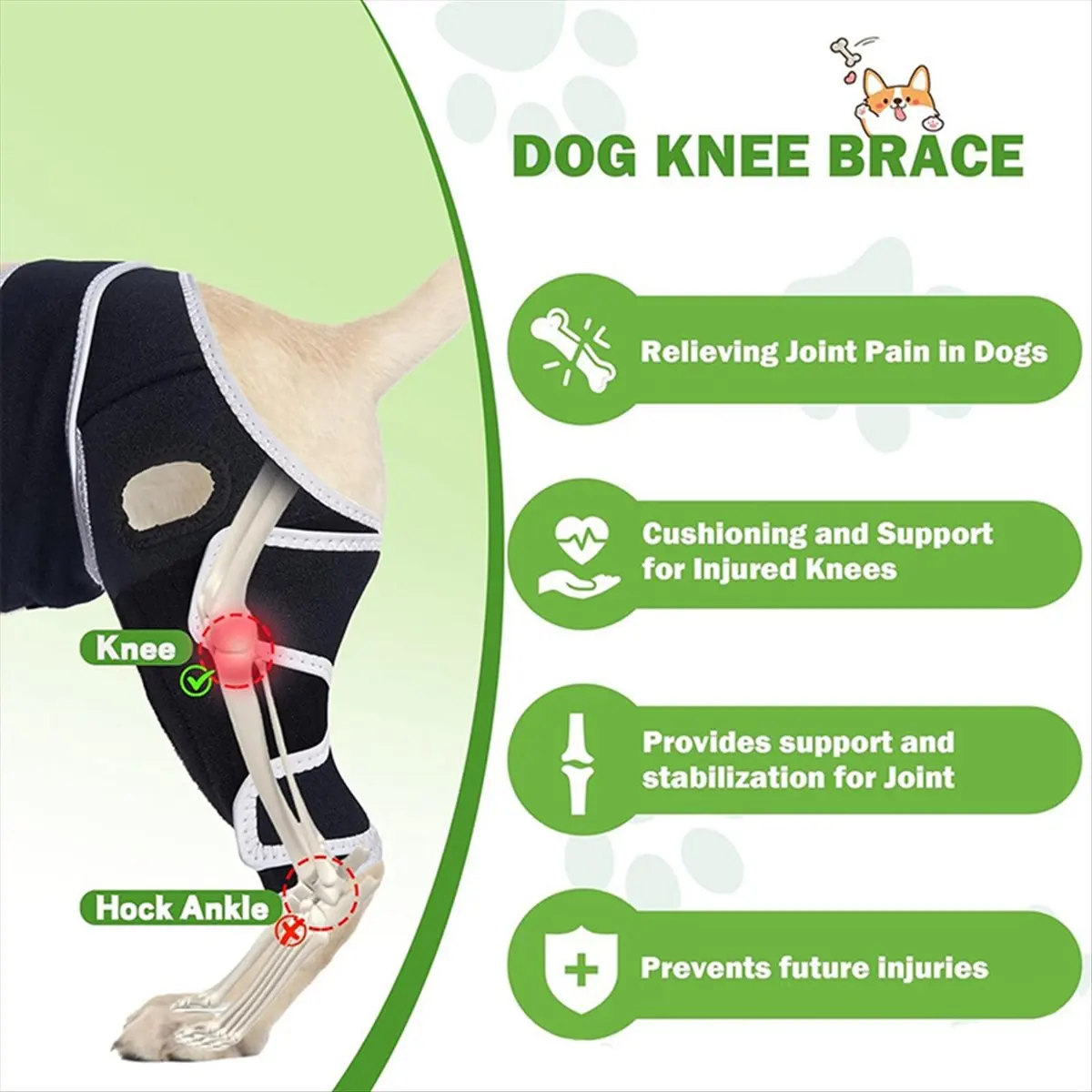 

Лучший наколенник для собак при травмах Acl и Ccl — регулируемая опора с металлическими стабилизаторами — помогает боль в суставах, L