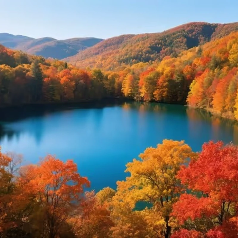 

EMAX ES9052MD HV All-Purpose High Voltage Metal Gear Digital Servo for RC Model Airplane /Helicopter