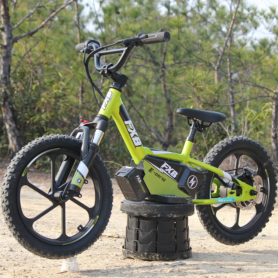 

16" 350W 36V 5Ah toy scooter off-road bike balance bicycle B03-16