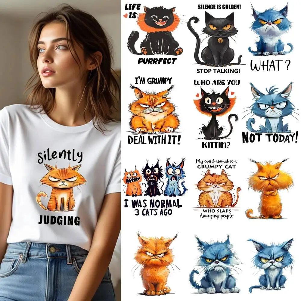 

25 см Weird Cat Proverb письмо утюг на термопереносную наклейку DTF железные нашивки для переноса одежды футболка аппликации