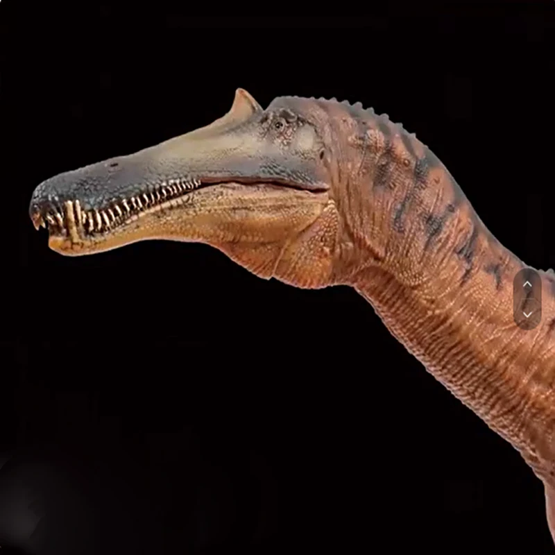 

China Shanglong Chongzuo Dinosaur King Growth Companion Model 66 Handmade Toy Desktop Ornament Collection Gift for Children