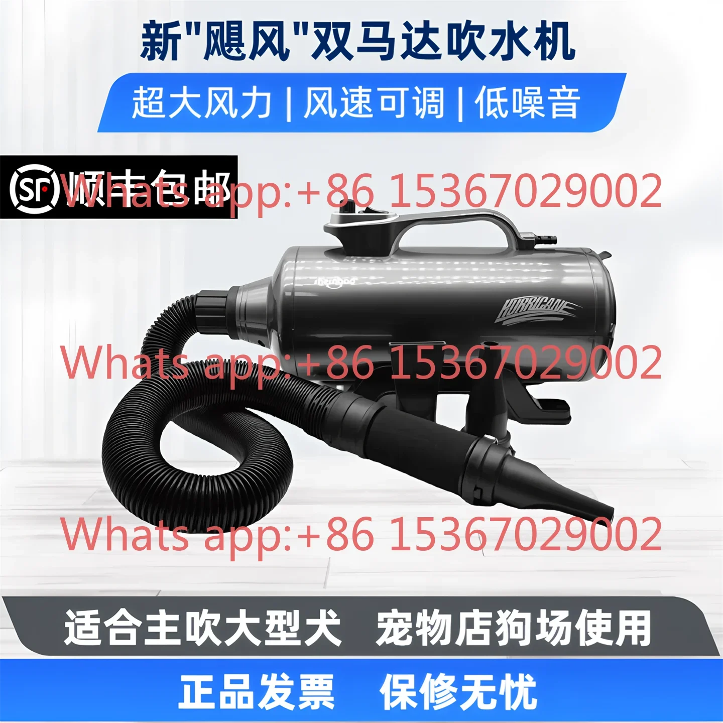 Pet store large dog golden retriever dog hair dryer high power silent dual motor water dryer
