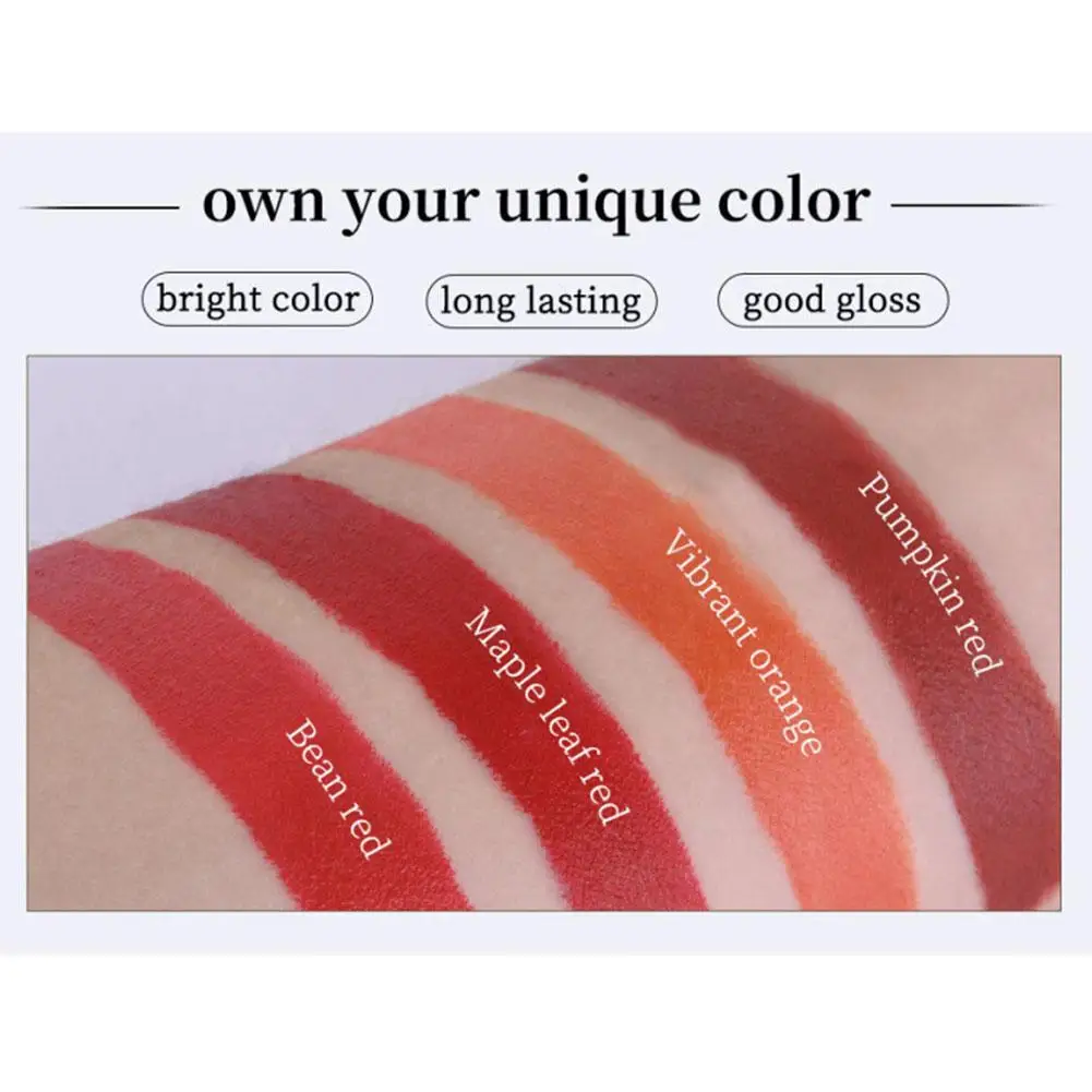 4-Lasting Stick Waterproof Lip Set - Long-Lasting Matte Lipstick with Transparent Finish - Perfect Valentine's Day Gift for Her