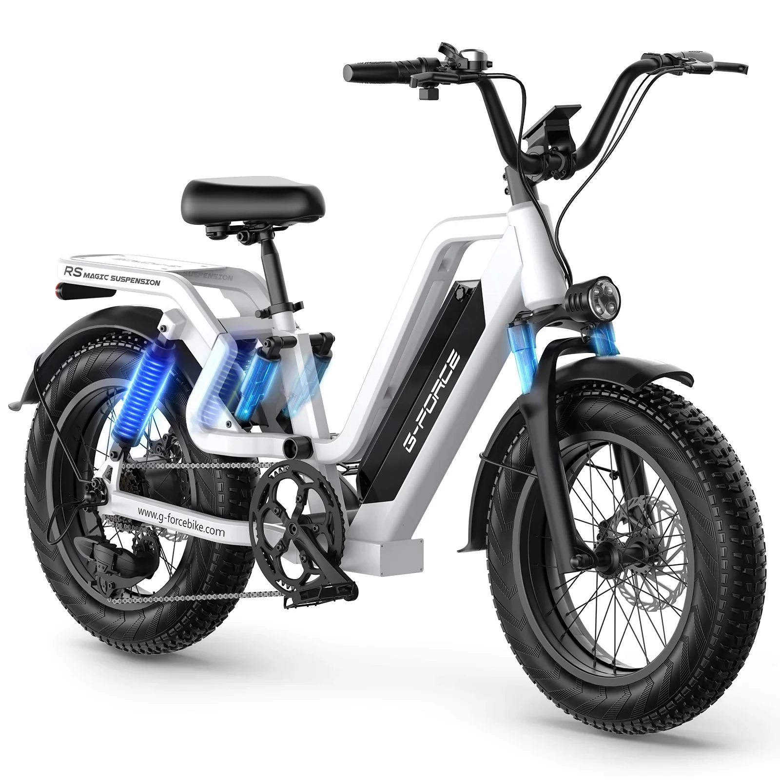 Load-carrying Electric Bicycle 750W Motor 48V25AH Lithium Battery Urban Commuter Electric bike Mountain Snow Road Urban Ebicycle