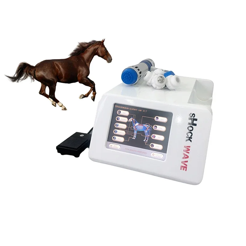 

Equine Veterinary Shockwave Machine Shockwave therapy device Vet Electromagnetic Shock Wave For Horse