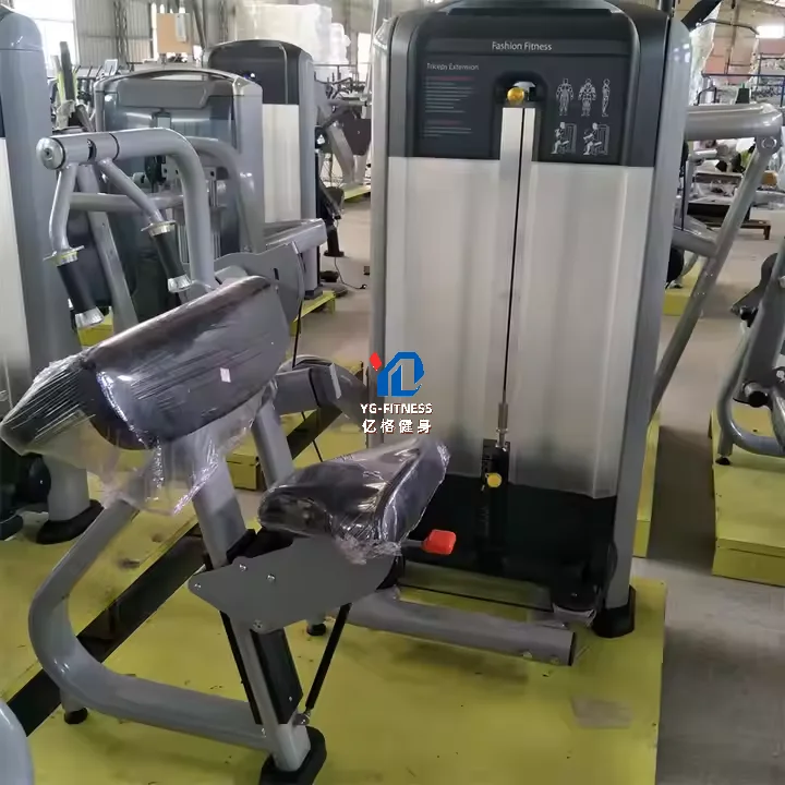 6019 Popular Bodybuilding Machine 45 Degree Triceps Extension Triceps Curl Fitness Gym for Adults