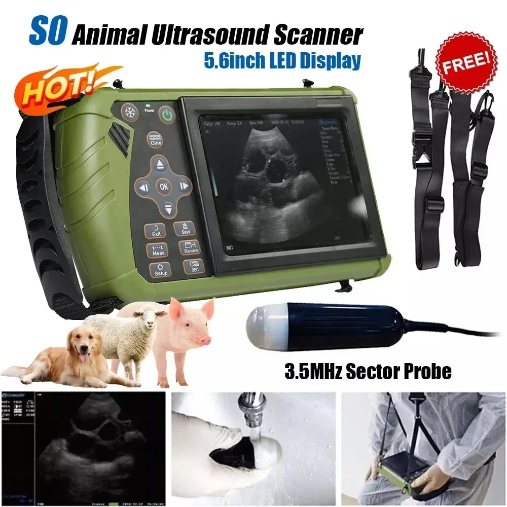 Animal ultrasound scanner on Sale