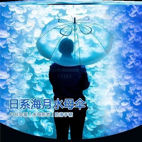 Umbrella Xiaohongshu Automatic Long Handle Thickening Female College Student Photography  Japanese Dream Transparent Umbrella