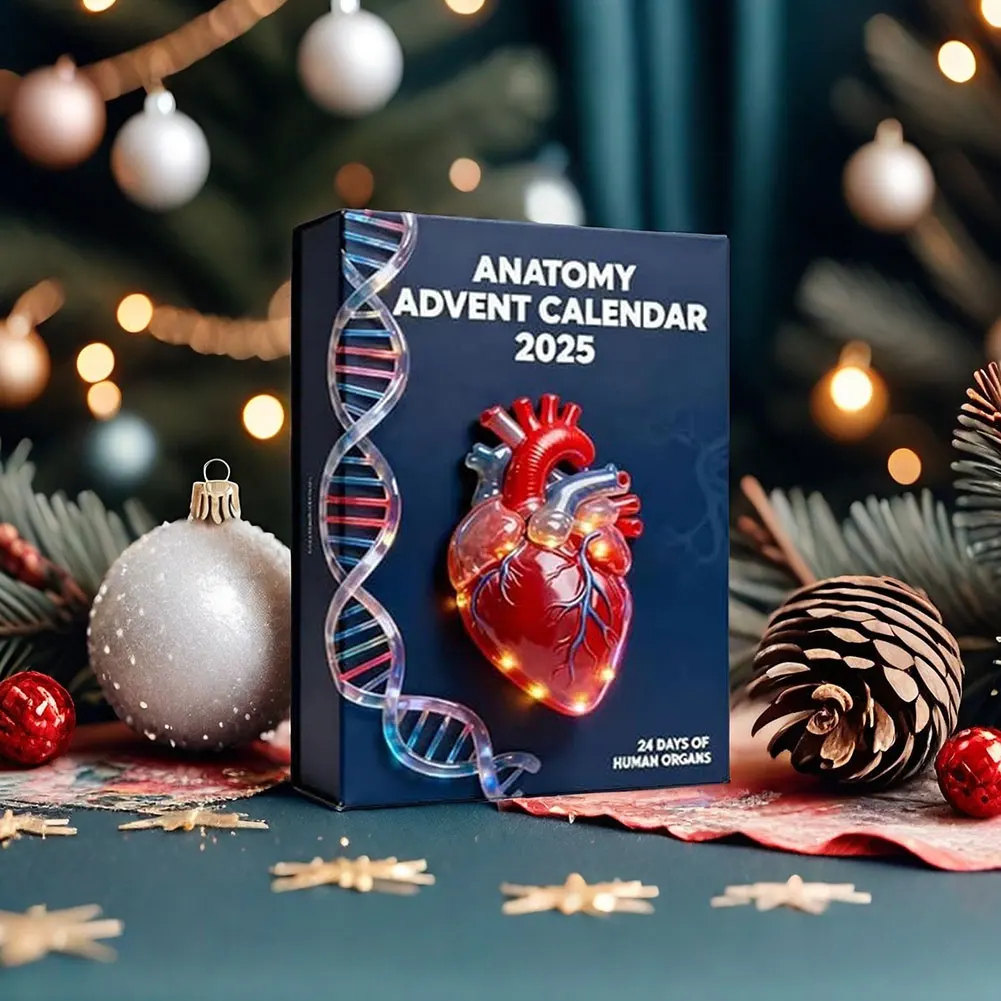 2025 Anatomys Adven…