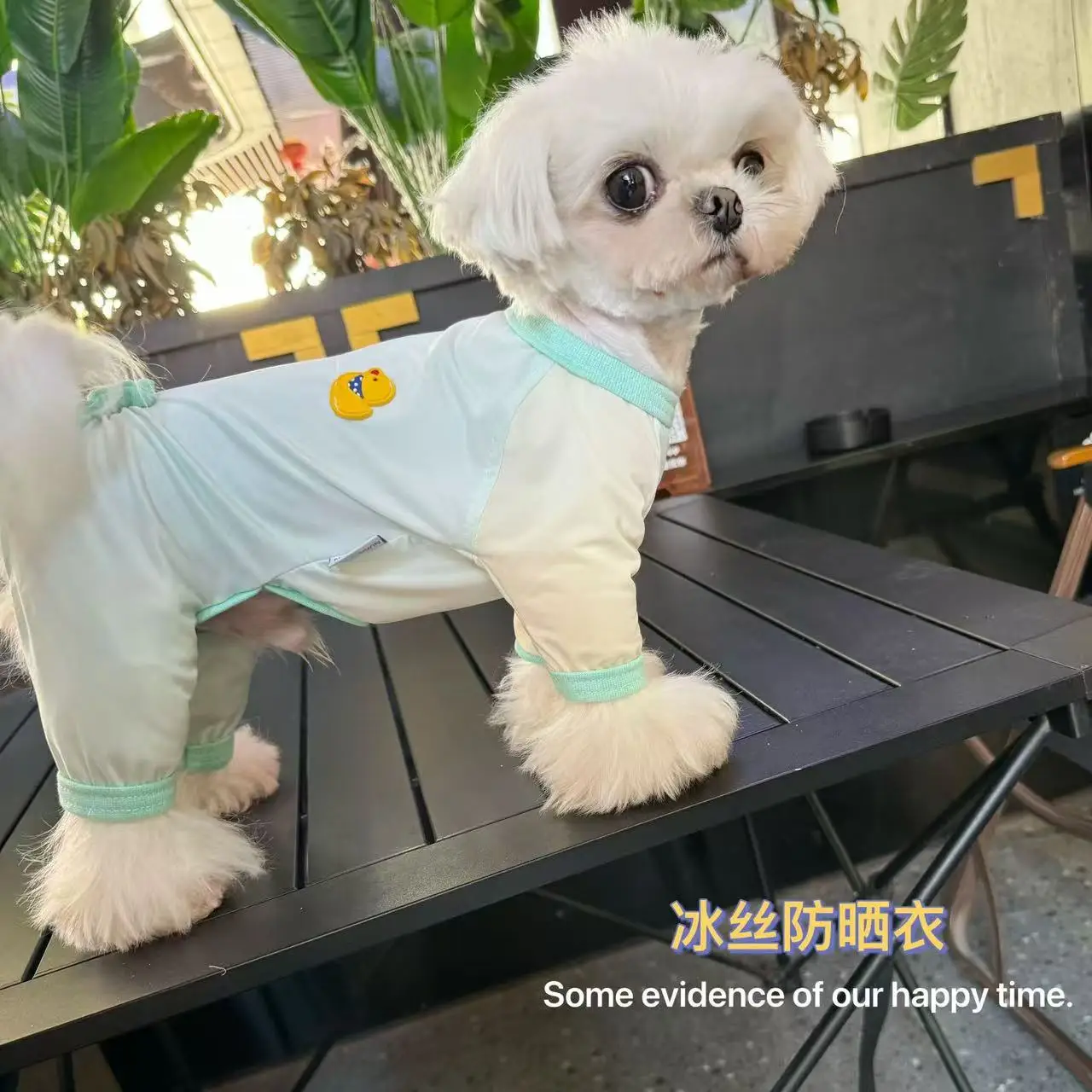 

Summer Sunscreen Pet Dog Clothes Fashion Pink Green Thin Four Feets Jumpsuits For Small Medium Dogs Chihuahua Puppy Dog Overalls