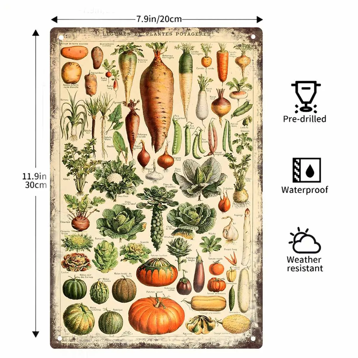 2D FLAT 1pc Vintage French Vegetable Botanical Chart Metal Wall Sign Decoration for Kitchen Cafe Room Farmhouse And Garden