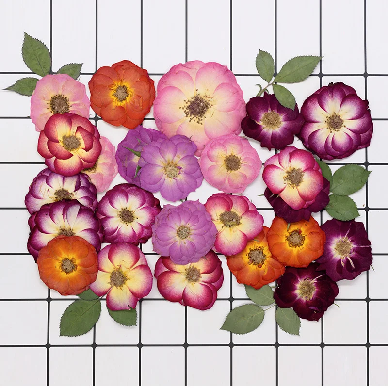 

48Pcs Multi-Colored Natural Rose Mixed Real Flower Pressed Flower Specimens for Face Decoration, Pressed Flower Table Lamp, Candle Stickers, Dried Flower DIY Material Kit, Photo Frame Decorations, Aromatherapy