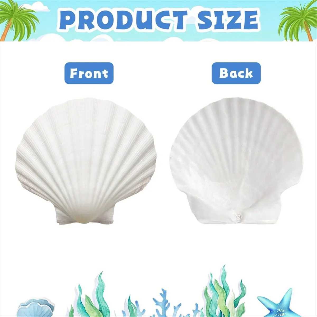 BHBL 30 Pcs Natural Scallop Shells 2-3 Inch White Seashells for Crafts DIY Painting and Ocean Summer Beach Wedding Home
