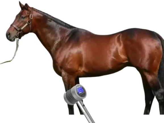 

Intelligent Dual-Mode Laser COZING-T05: Customizable Treatment for Human Aches & Small Animal Arthritis Support