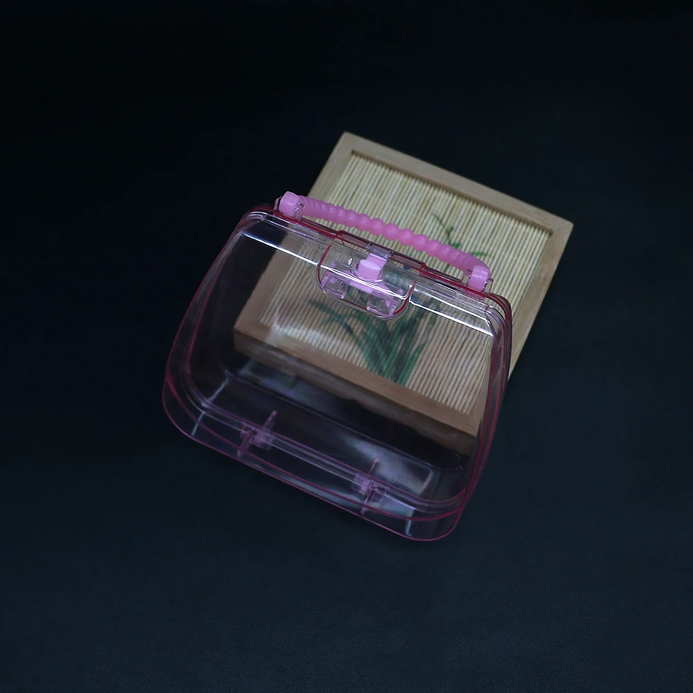 Children's Plastic Pink Transparent Storage Box Cartoon Handbag Little Girl Cute Hair Accessory Toy Storage Organization Tool