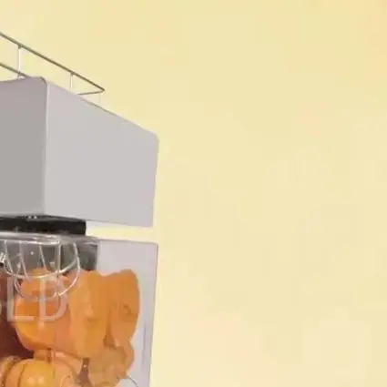 Automatic Citrus Beverage Juicer Commercial Orange Squeezer Stainless Steel Fresh Juice Machinery