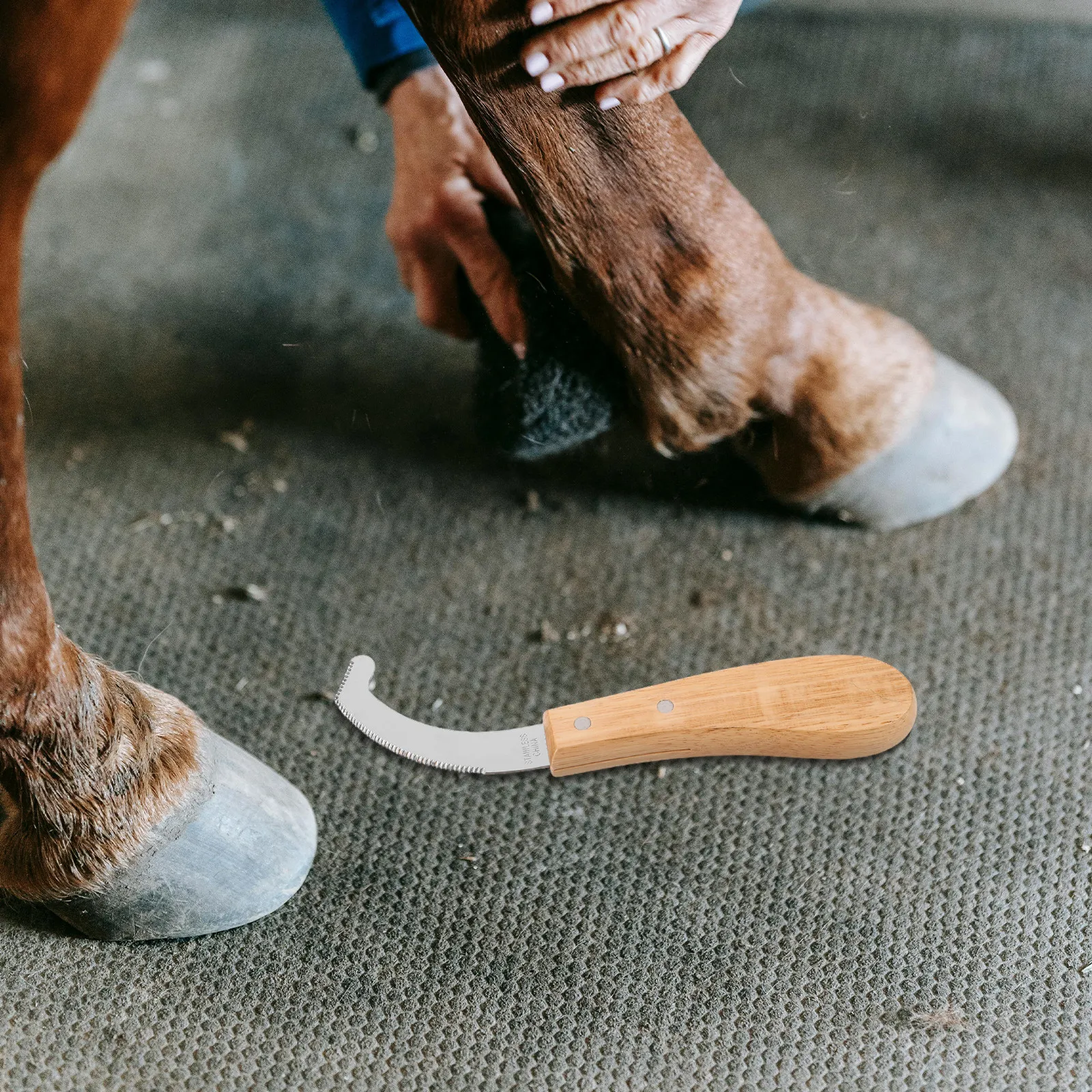 Horse Egg Removal Knife Stainless Steel Blade Ergonomic Handle Precision Equine Grooming Scraper Egg Fly Remover