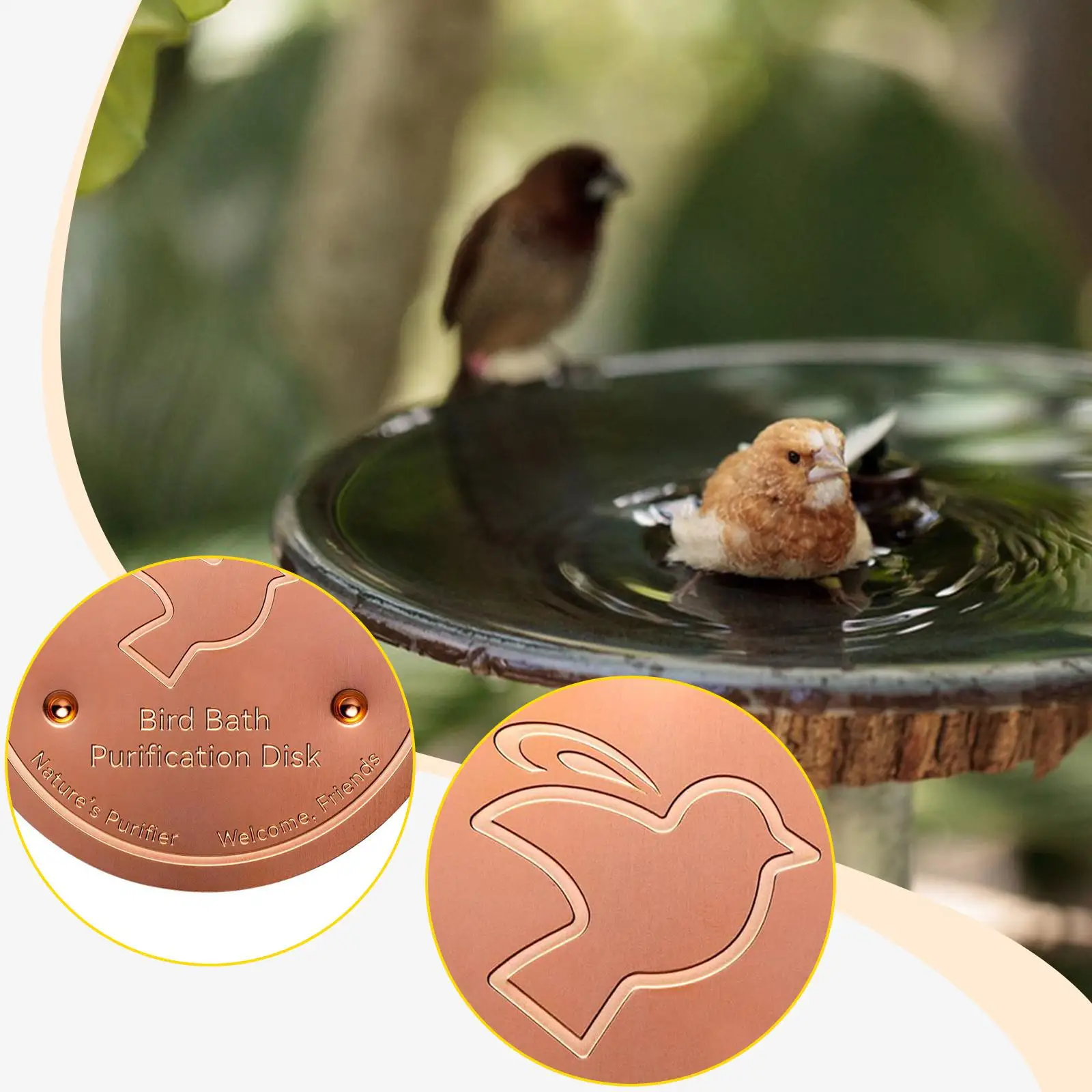 

Bird Bath Purification Disk Water Cleaner Accessories All Season Use
