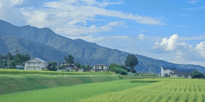 

4pcs Aluminum 2.2" RC Beadlock Wheel Wheel Rim Hex Fit for TRX4 TRX6 SCX10 90046 RR10 Wraith 1/10 RC Crawler Car