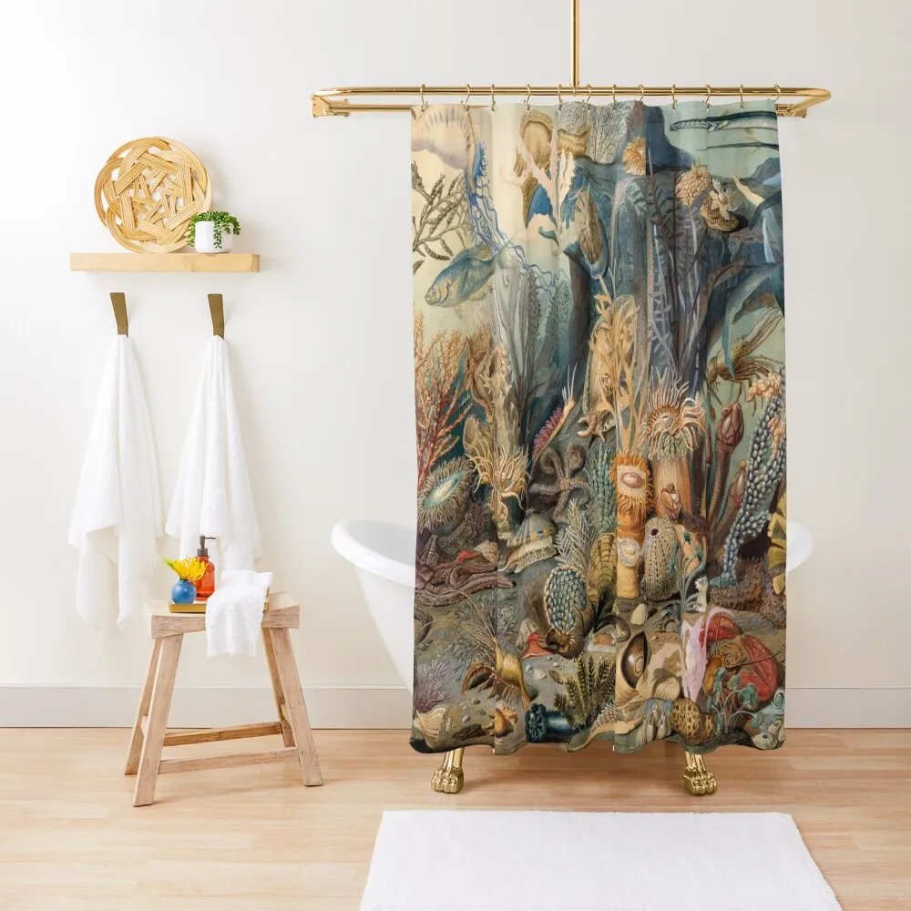 

Ocean Creatures Shower Curtain Shower For Bathroom Set Cover Bathroom Showers Toilet Accessories Bathroom Curtain
