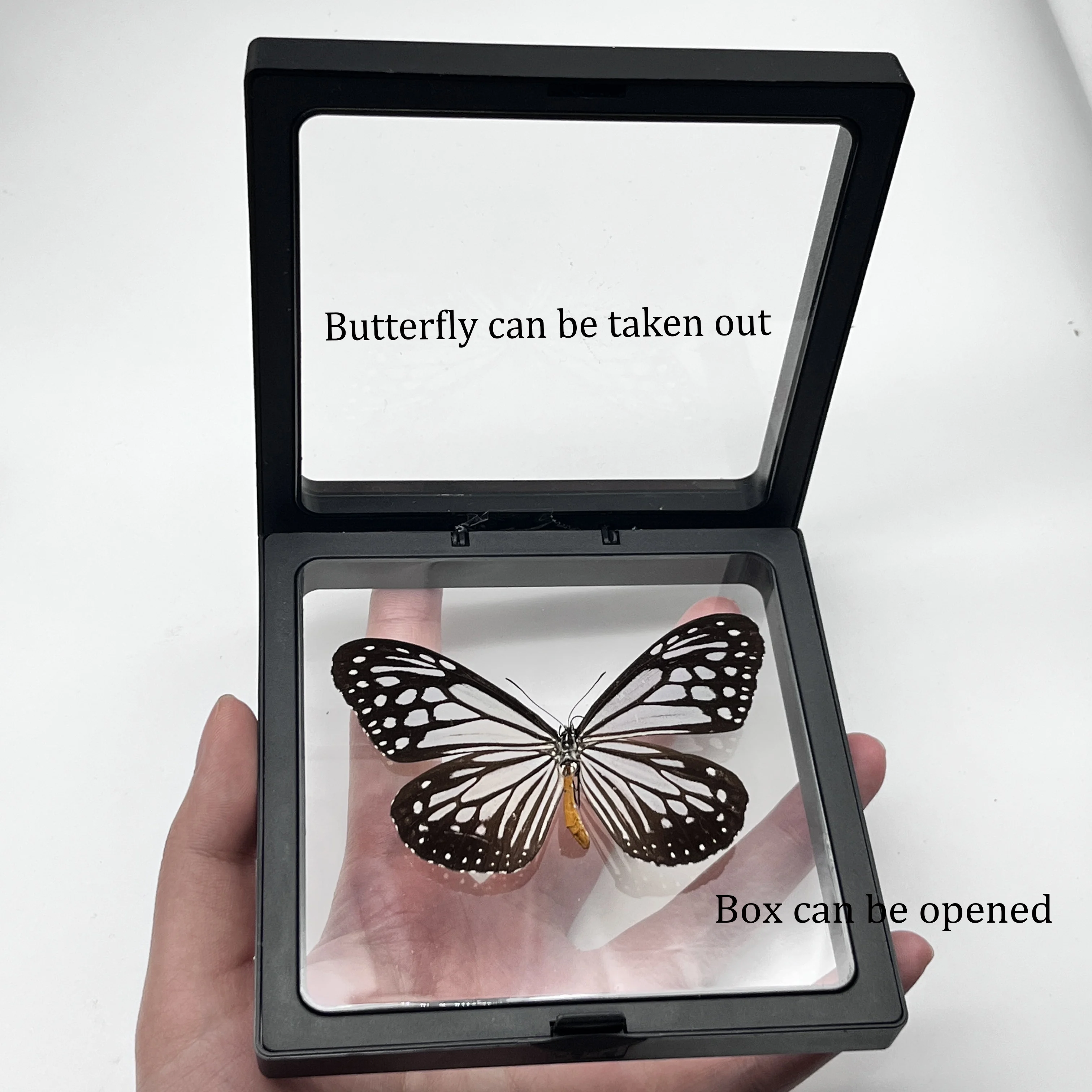 1pcs Real Butterfly Specimen Insect Home Decor Photo Frame   Desk Decoration Figurines Birthday Gift Teaching Training