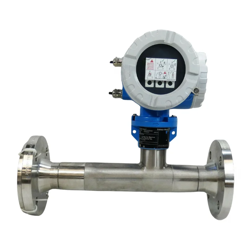 Original Endress Hauser Proline T-mass F 300 6F3B Thermal Mass Flowmeter OEM & ODM Customized Support