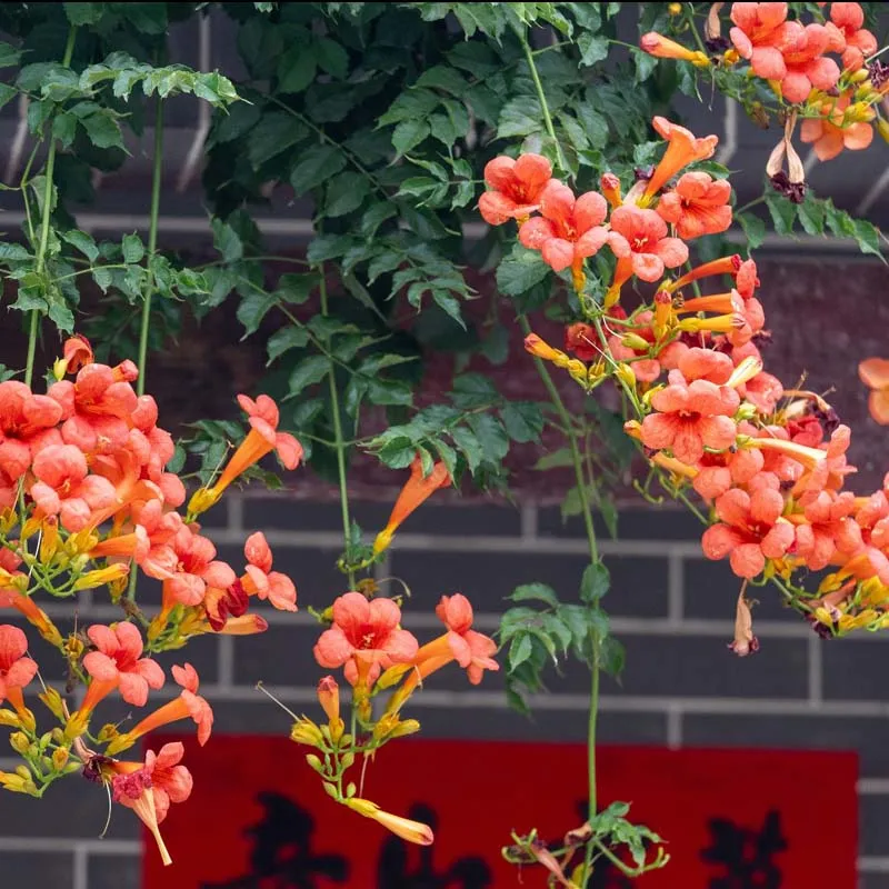 Самый продаваемый резак для мягких шоколадных конфет с двойной режущей ручкой, резак для шоколадных блоков