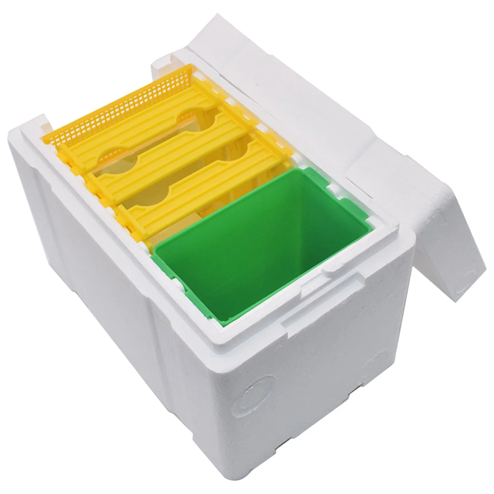 

Foam Bee Box Versatile Queen Bee Breeding Box Bee Pollination Box Queen Bee Rearing Beehive Beekeeper Suppliers