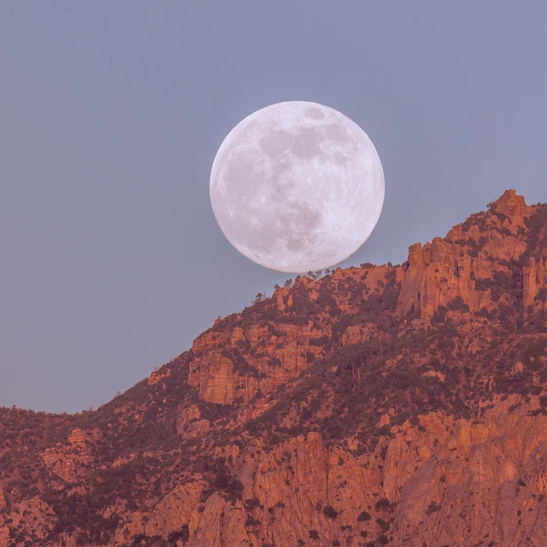 

Navigation Co-pilot Android Car Multimedia Player For Porsche Macan 2017-2023 Entertainment Passenger LCD HD Screen 15" Carplay