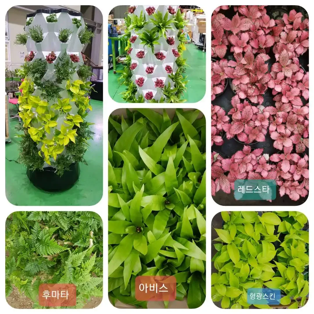 Agricultural Greenhouses Vertical Farming Aeroponics System Hydroponic Grow Tower Garden Vertical Hydroponic System