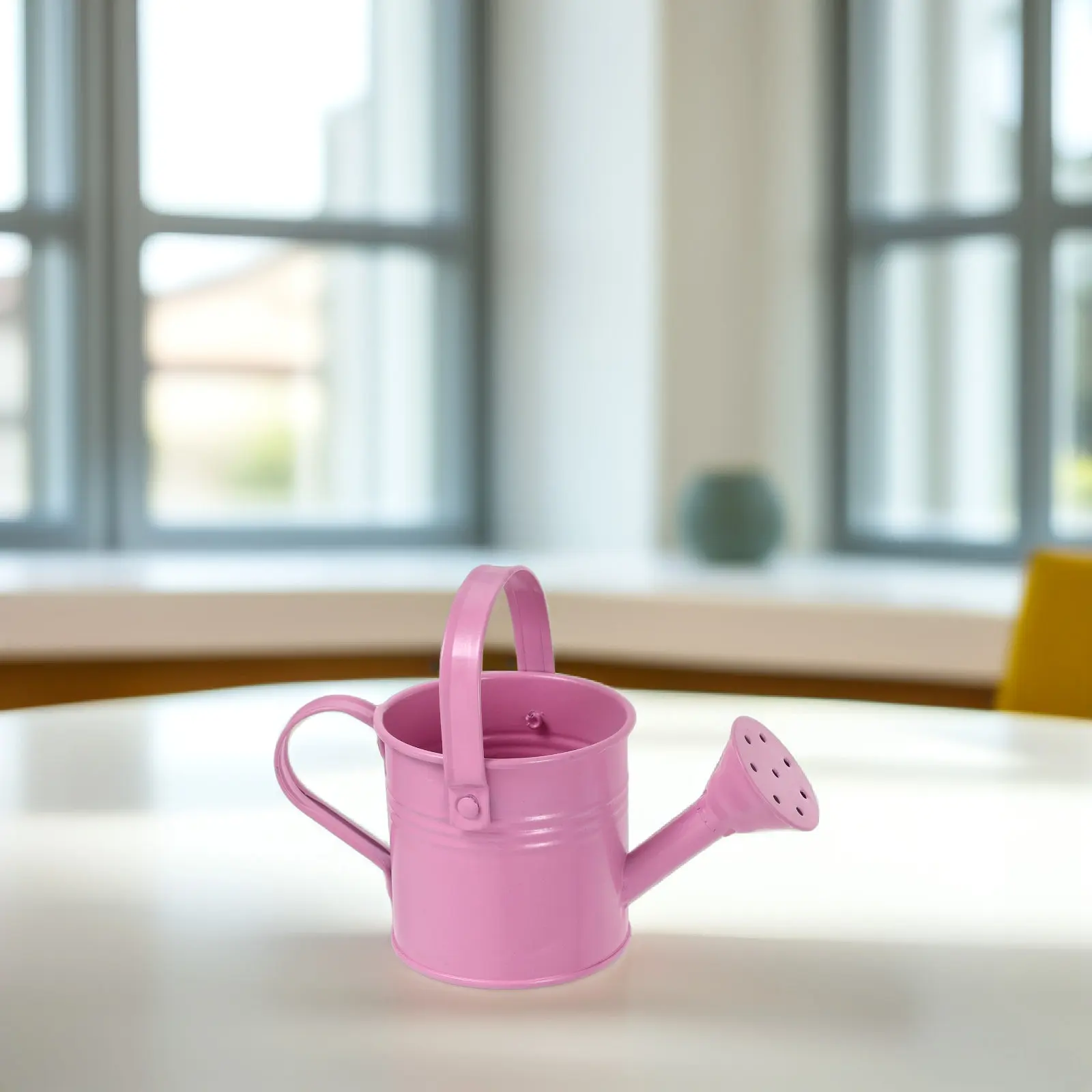 Mini Galvanized Watering Can for Indoor Succulents, Bonsai & Desk Decor – Metal Tin Sprinkling Kettle