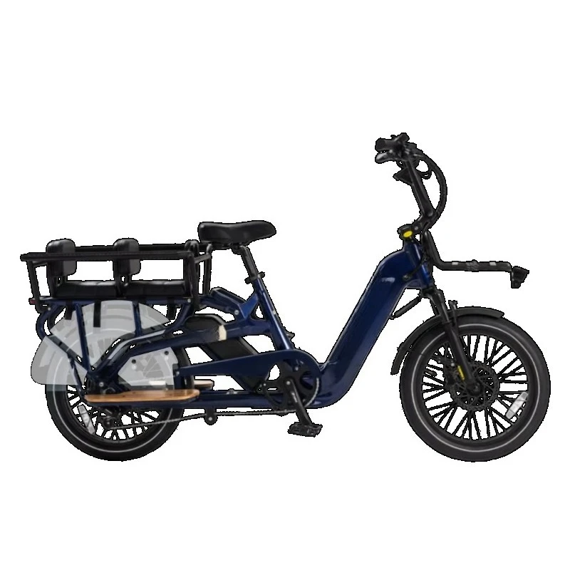 

Long Tail Cargo Double Battery Alloy Electric Cargo Bicycle Bicycle Two Wheel Cargo