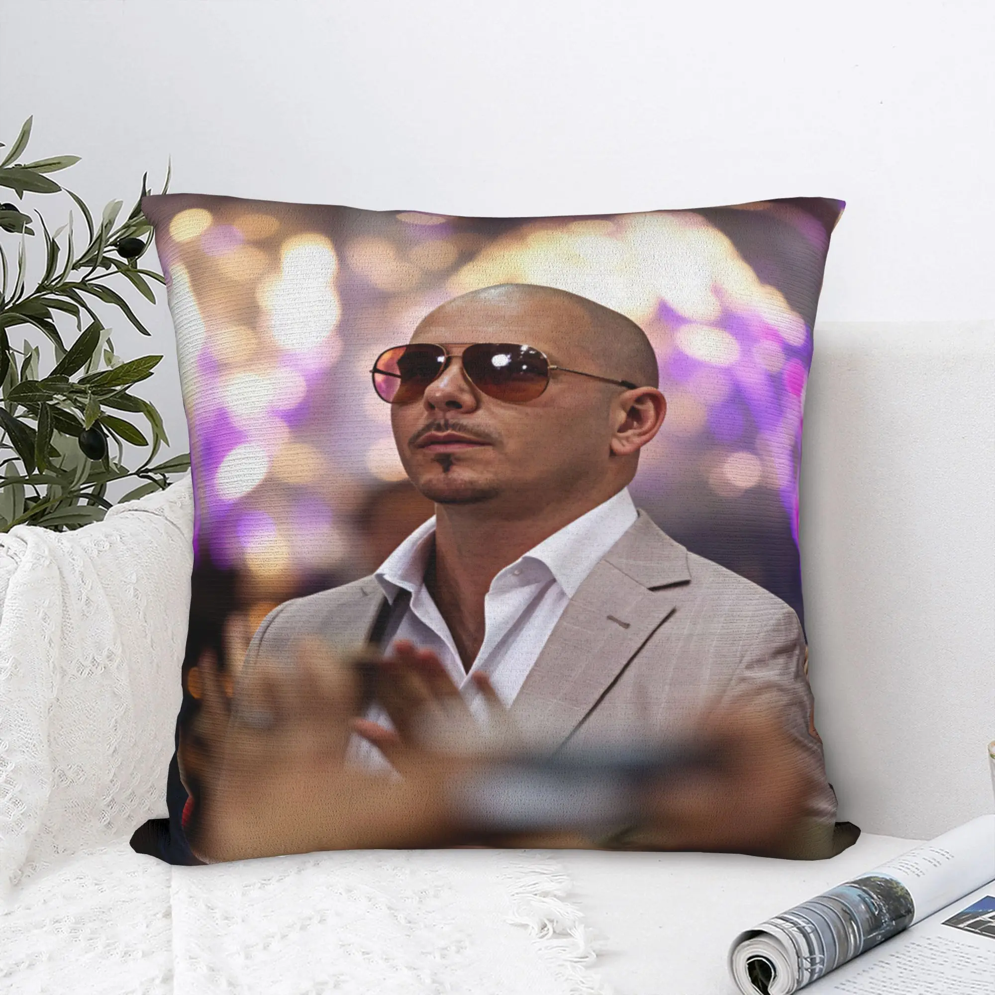 Pitbull Mr Worldwide Tour Pillow Case  Soft Pillow Cover For Chair Sofa Home Decor Morden Pillowcases