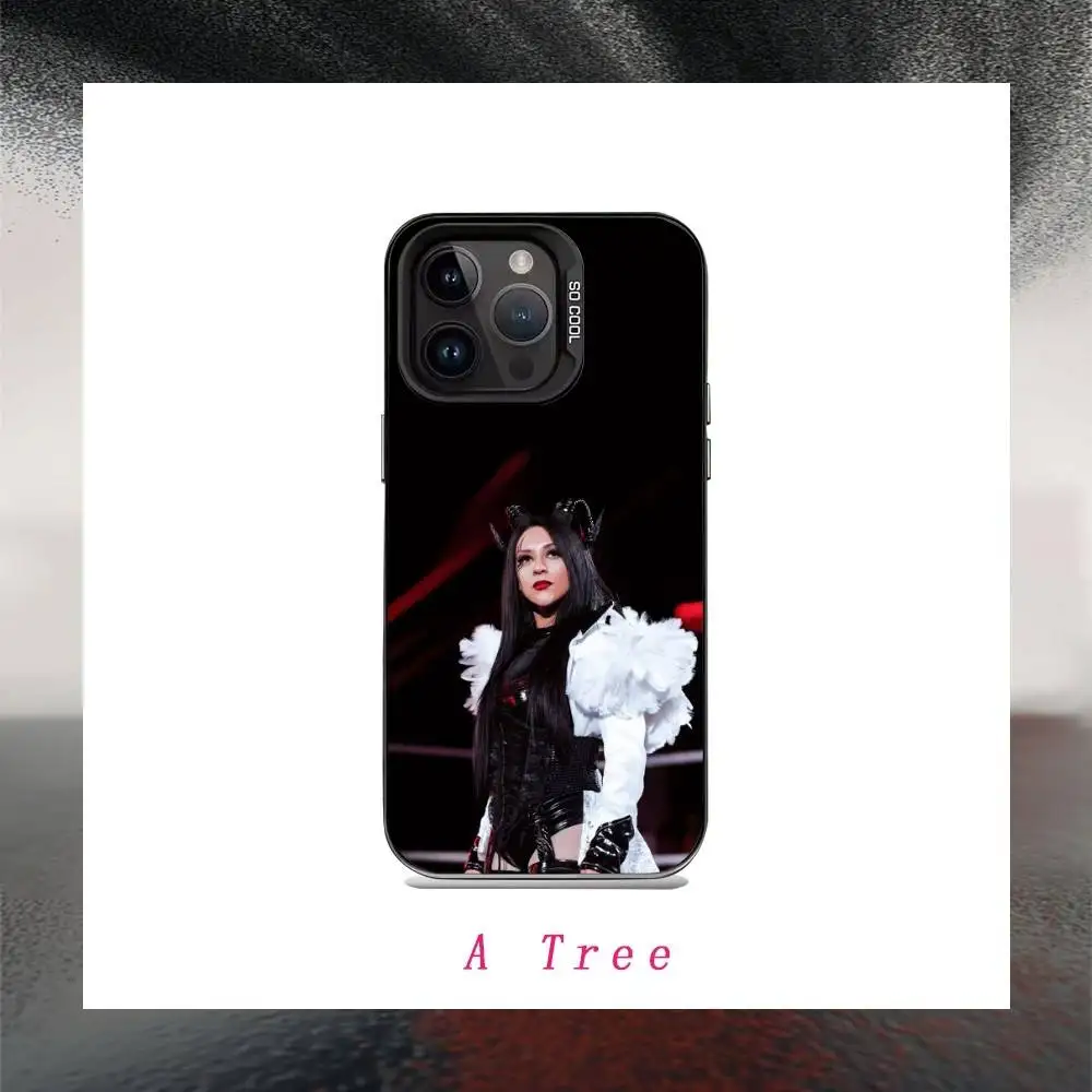 S-Stephanie V-Vaquer  Phone Case For IPhone 16 17 15 14 12 13 Pro Max Black Color Shockproof Cover