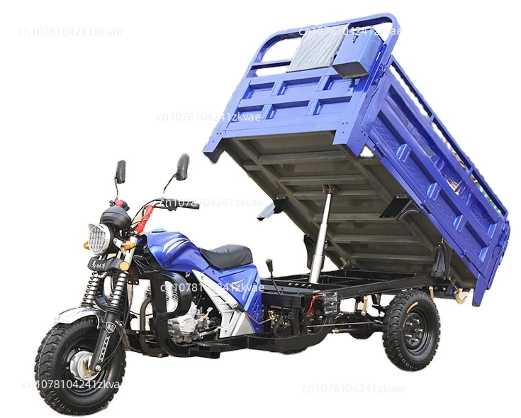 Hot Sale 3-Wheel Gasoline Cargo Tricycle 1000W Motorized China Manufacture with  48V Motorcycle Type