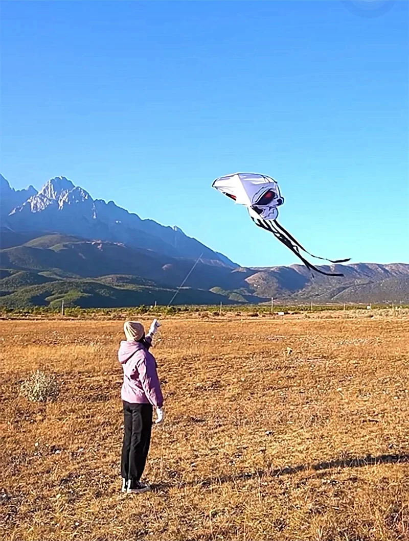 Cerfs-volants en tissu nylon ripstop pour enfants, ligne de cerf-volant pour enfants, jouets de plein air, spectacle de jouets, ligne de cerf-volant, nouvelle livraison gratuite