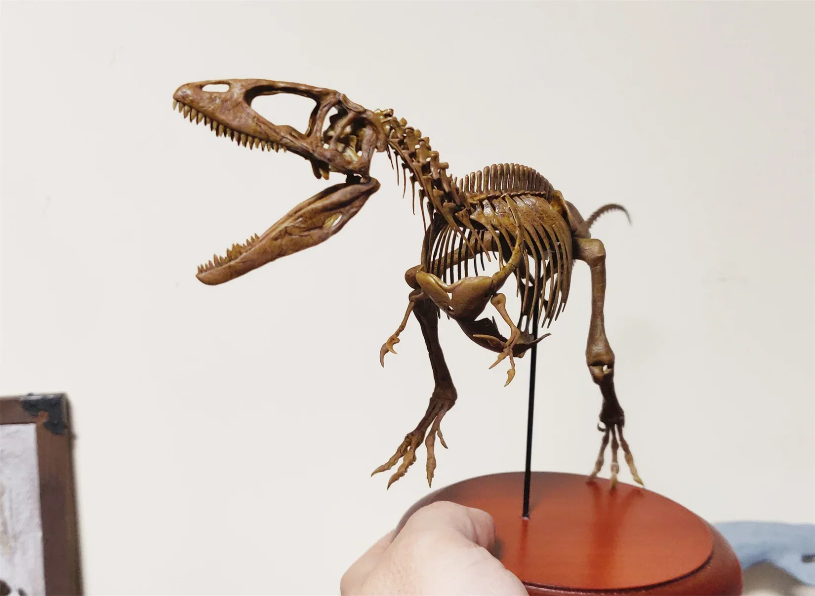 VWUVWU Carcharodontosaurus saharicus Skeleton Model Dinosaur Collector Animal Figure Collection Decoration  Toys