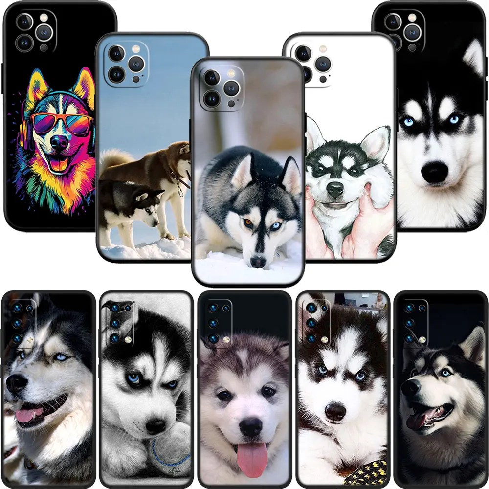 MN31 Husky Puppy Dog Phone Case for Samsung Galaxy M06 M15 M16 M35 M55 M56 A36 A42 A50 A50S A51 A52 A32 A33 A05 A05S A06 A16 A20