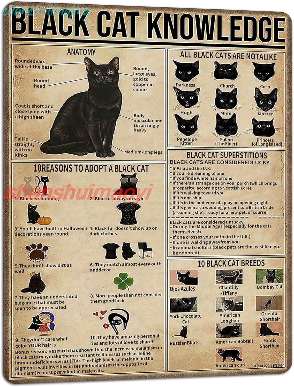 PAIION Panneau de connaissance Chat Noir, Décoration de cuisine Chat Noir, Affiche Chat Fumant, Affiche pour Bar, Salle de Bain, Jardin, Maison, Mur Extérieur, Panneau en D