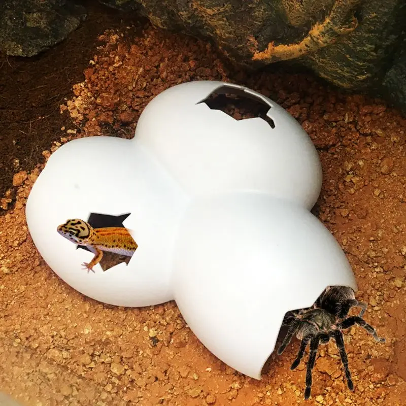 Egg for Shell Cave Aquarium Decorations for Spider Tarantula Iguana Torto