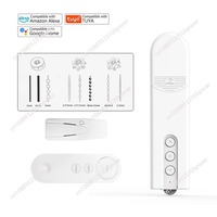 Tuya WIFI Smart Motorized Chain Curtain Motor Remote Control Shade Roller Blinds Drive Motor Automation Blinds Curtain Motor