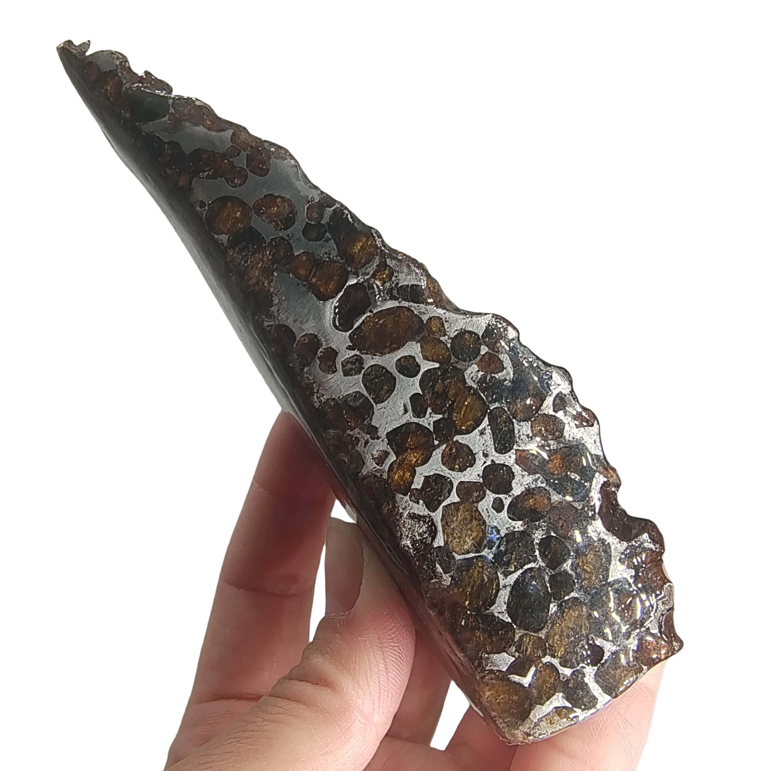 

321,6 г Seymchan Pallasite, ломтики оливкового метеорита, образец натурального метеорита, нарезанная коллекция материалов - TA759
