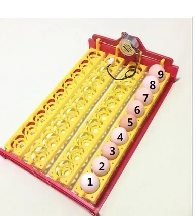 

36 многофункциональных автоматических инкубационных машинок, превращающихся над яйцами, курицей, голубями, перепелиными птицами B