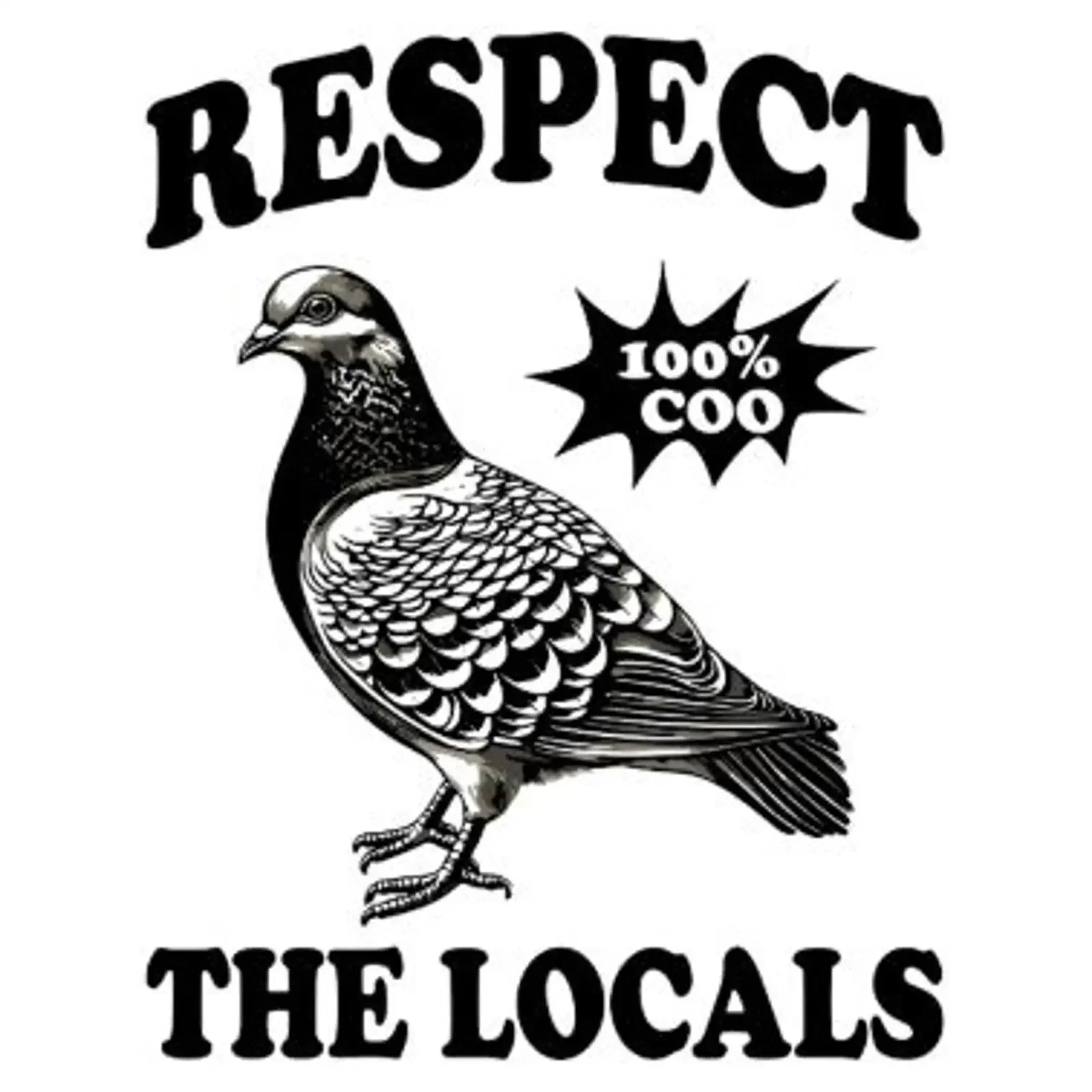 Pigeon Respect The Locals Bayside Heavyweight USA Made T Shirt vintage Washed Stylish Casual Soft Comfortable streetwear