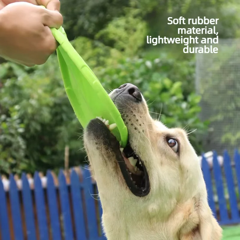 강아지와 고양이를 위한 상호작용형 실리콘 플라잉 소서  - Flying Disc Dog Training Toy 리뷰 및 가격
