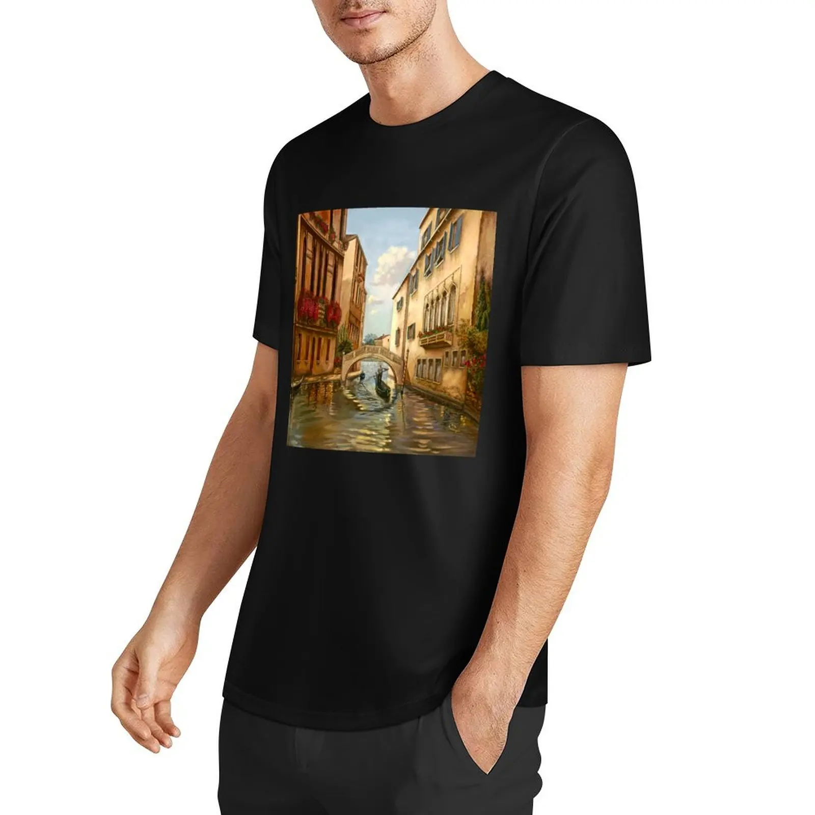 VENICE WITH BRIDGE T-Shirt essential t shirt baggy shirts anime figures vintage t shirts clothing for men