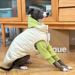 Italy Little Greyhound Winter Cotton Jacket White Blue Button-up Warm Thick Vest Fashion Whippet Clothes Windproof Coat for Dogs
