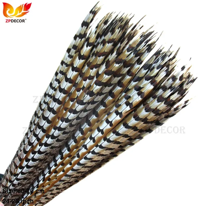 ZPDECOR 65-70CM 26-28 Inch Natural Reeves Pheasant Feathers