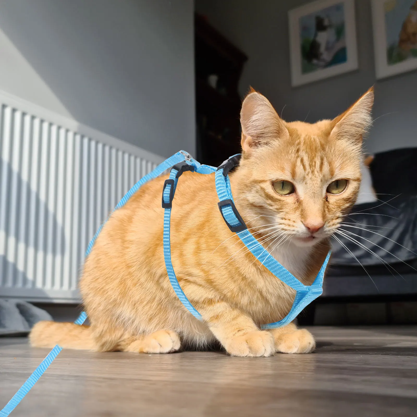 

Rabbit Leash Soft Blue Harness for Small Animals Adjustable Nylon Pet Kitten Hiking Stomach Back Neck Practical Walking