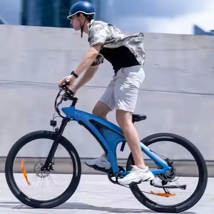 

TOP Quality Electric Bikes Q5 48V 13Ah Li-ion Battery Movable for Adults